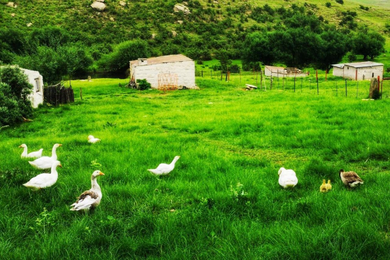 Oban Historical Guest Farm Vila Van Reenen Exterior foto